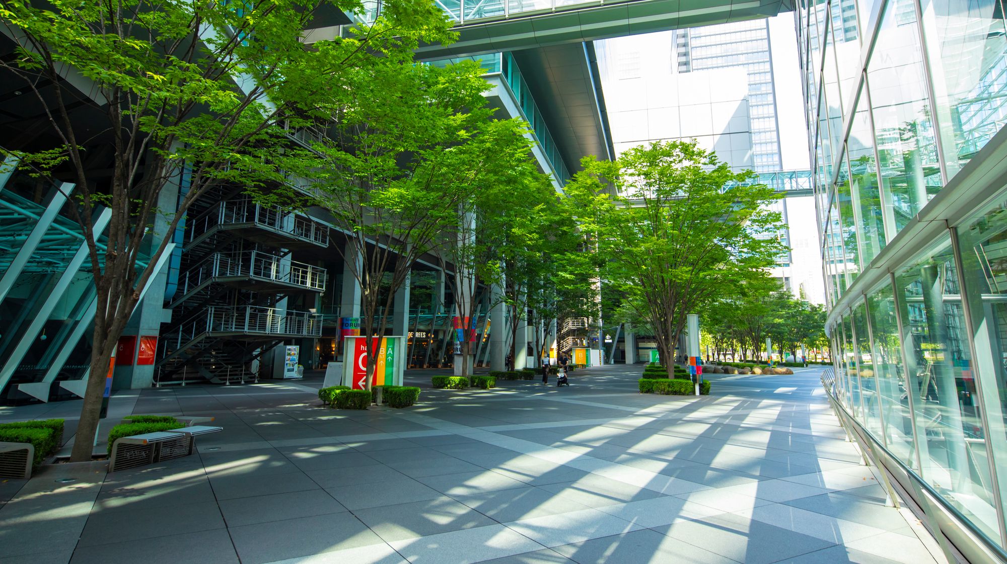 Tokyo Startup Lunchclub